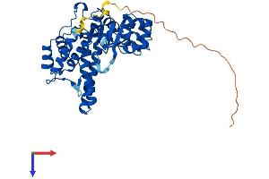 AlphaFold protein structure predicition of Human Recombinant FEN1 Protein, UniprotID P39748