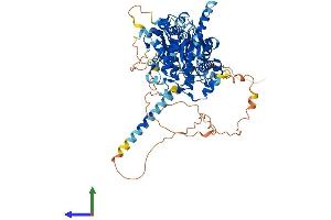 AlphaFold protein structure predicition of Mouse Recombinant Mtmr12 Protein, UniprotID Q80TA6