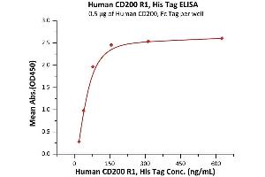Immobilized Human CD200, Fc Tag (ABIN2180725,ABIN2180724) at 5 μg/mL (100 μL/well) can bind Human CD200 R1, His Tag (ABIN6972973) with a linear range of 20-78 ng/mL (QC tested).