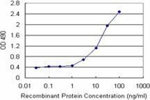 Sandwich ELISA detection sensitivity ranging from 1 ng/mL to 100 ng/mL. (STIP1 (Humain) Matched Antibody Pair)