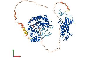 AlphaFold protein structure predicition of Mouse Recombinant Mocs1 Protein, UniprotID Q5RKZ7