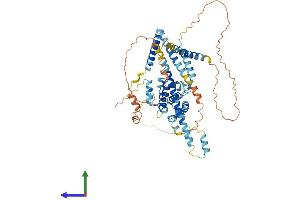 AlphaFold protein structure predicition of Mouse Recombinant Ccdc60 Protein, UniprotID Q8C4J0