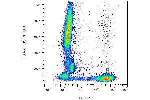 Flow cytometry analysis of human peripheral blood  stained with CRIS1 antibody PE. (CD5 anticorps  (PE))