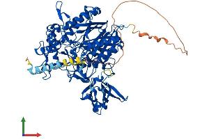 AlphaFold protein structure predicition of Human Recombinant ASAH2 Protein, UniprotID Q9NR71