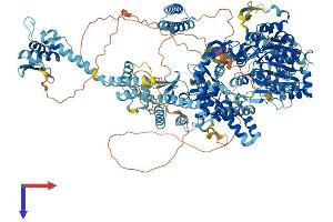 AlphaFold protein structure predicition of Mouse Recombinant Dhx29 Protein, UniprotID Q6PGC1