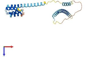 AlphaFold protein structure predicition of Human Recombinant CCDC43 Protein, UniprotID Q96MW1