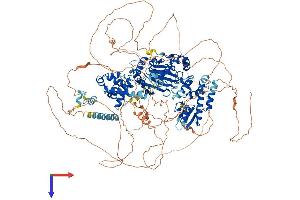 AlphaFold protein structure predicition of Human Recombinant JARID2 Protein, UniprotID Q92833
