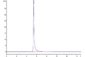 The purity of Human ITGA2&ITGB1 is greater than 95 % as determined by SEC-HPLC.