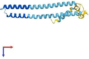 AlphaFold protein structure predicition of Human Recombinant GET1 Protein, UniprotID O00258