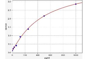 Interleukin 12 alpha (IL12A) ELISA Kit
