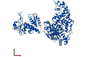 AlphaFold protein structure predicition of Mouse Recombinant Mthfd1 Protein, UniprotID Q922D8