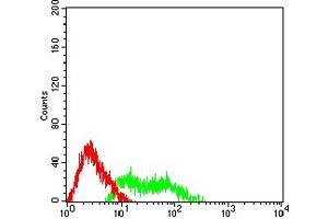 Flow cytometric analysis of HL-60 cells using MUC5B mouse mAb (green) and negative control (red).