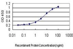 Detection limit for recombinant GST tagged TEK is approximately 0. (TEK anticorps  (AA 701-800))