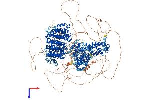 AlphaFold protein structure predicition of Human Recombinant CLASP1 Protein, UniprotID Q7Z460