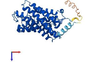 AlphaFold protein structure predicition of Mouse Recombinant Aqp9 Protein, UniprotID Q9JJJ3