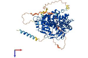 AlphaFold protein structure predicition of Mouse Recombinant Edem1 Protein, UniprotID Q925U4