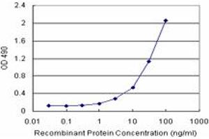 Sandwich ELISA detection sensitivity ranging from 1 ng/mL to 100 ng/mL. (CSTB (Humain) Matched Antibody Pair)