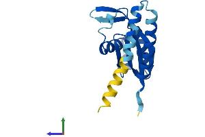 AlphaFold protein structure predicition of Human Recombinant POP5 Protein, UniprotID Q969H6