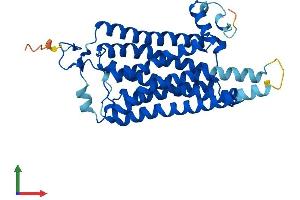 AlphaFold protein structure predicition of Mouse Recombinant Taar6 Protein, UniprotID Q5QD13