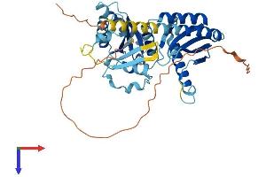 AlphaFold protein structure predicition of Human Recombinant RRAGD Protein, UniprotID Q9NQL2