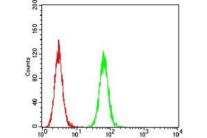 Flow cytometric analysis of Hela cells using HTR3B mouse mAb (green) and negative control (red).