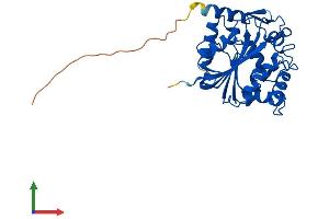 AlphaFold protein structure predicition of Mouse Recombinant Pnmt Protein, UniprotID P40935