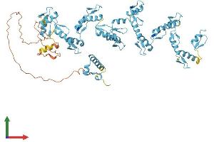 AlphaFold protein structure predicition of Human Recombinant ZNF799 Protein, UniprotID Q96GE5