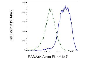 Validation of RAD23A knockdown using flow cytometry. (Recombinant RAD23A anticorps)