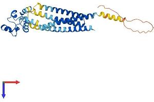AlphaFold protein structure predicition of Human Recombinant TSPAN12 Protein, UniprotID O95859