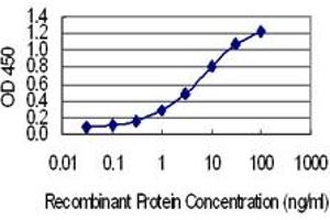 Detection limit for recombinant GST tagged SSX4 is 0.