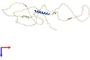 AlphaFold protein structure predicition of Human Recombinant JSRP1 Protein, UniprotID Q96MG2