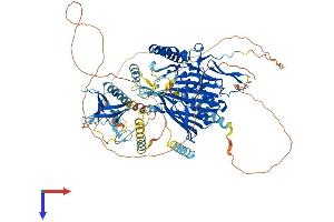 AlphaFold protein structure predicition of Human Recombinant OSBPL8 Protein, UniprotID Q9BZF1