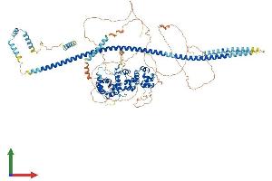 AlphaFold protein structure predicition of Mouse Recombinant Ppfibp1 Protein, UniprotID Q8C8U0