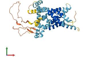 AlphaFold protein structure predicition of Mouse Recombinant Slc25a39 Protein, UniprotID Q9D8K8
