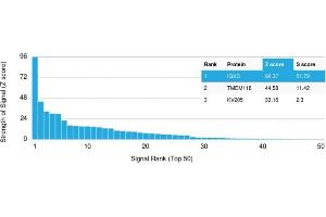 Analysis of Protein Array containing more than 19,000 full-length human proteins using Kappa Light Chain Mouse Recombinant Monoclonal Antibody (rL1C1). (Recombinant IGKC anticorps)