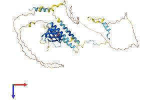 AlphaFold protein structure predicition of Mouse Recombinant Plekho2 Protein, UniprotID Q8K124