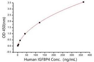 Activity Assay (AcA) image for Insulin-Like Growth Factor Binding Protein 2, 36kDa (IGFBP2) (AA 40-328) (Active) protein (His tag) (ABIN7607354)