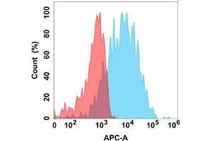 Flow cytometry analysis with Anti-SELP (DM150) on Expi293 cells transfected with human SELP (Blue histogram) or Expi293 transfected with irrelevant protein (Red histogram).