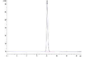 The purity of Cynomolgus Nectin-4 is greater than 95 % as determined by SEC-HPLC.