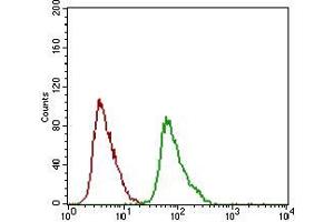 Flow cytometric analysis of HEK293 cells using DNM1L mouse mAb (green) and negative control (red).