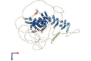 AlphaFold protein structure predicition of Human Recombinant CLASP2 Protein, UniprotID O75122