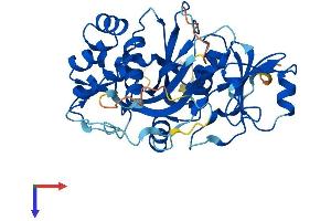 AlphaFold protein structure predicition of Human Recombinant NUDT19 Protein, UniprotID A8MXV4
