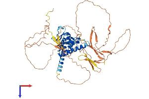 AlphaFold protein structure predicition of Human Recombinant BANP Protein, UniprotID Q8N9N5