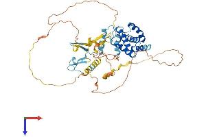 AlphaFold protein structure predicition of Human Recombinant CABLES2 Protein, UniprotID Q9BTV7
