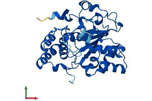 AlphaFold protein structure predicition of Mouse Recombinant Sult3a1 Protein, UniprotID O35403