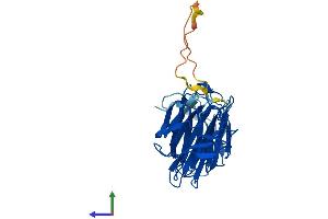 AlphaFold protein structure predicition of Human Recombinant LGALS4 Protein, UniprotID P56470