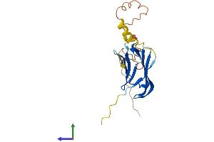 AlphaFold protein structure predicition of Mouse Recombinant Cryaa Protein, UniprotID P24622