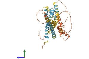 AlphaFold protein structure predicition of Human Recombinant APOL2 Protein, UniprotID Q9BQE5