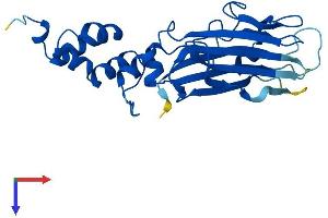 AlphaFold protein structure predicition of Mouse Recombinant Fbxo44 Protein, UniprotID Q8BK26