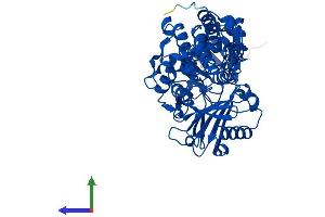 AlphaFold protein structure predicition of Human Recombinant MAOA Protein, UniprotID P21397